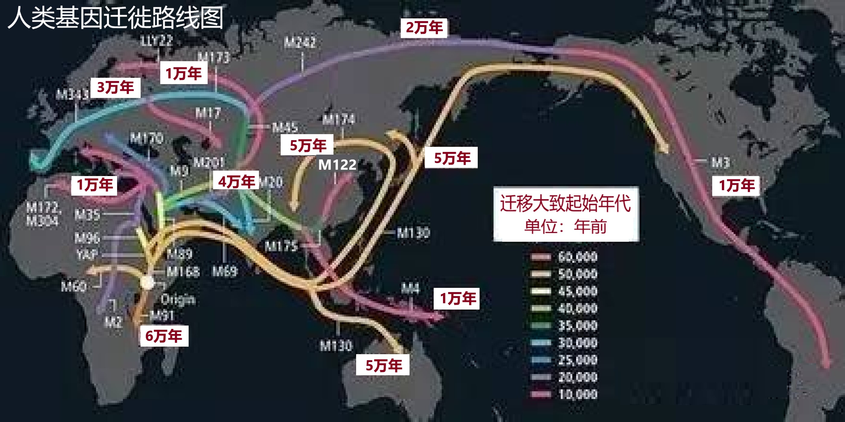 人类灭绝之后的动物|200万年后，人类会进化成啥样，还保留着哪些器官？