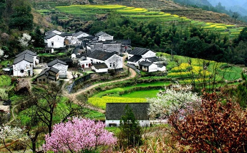 這個村就是大山村,它本是一個鮮為人知的小山村,是一個窮得叮噹響的