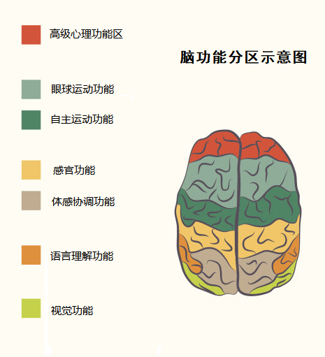 失语症|自己打自己脸：从大脑整体论到大脑分工论