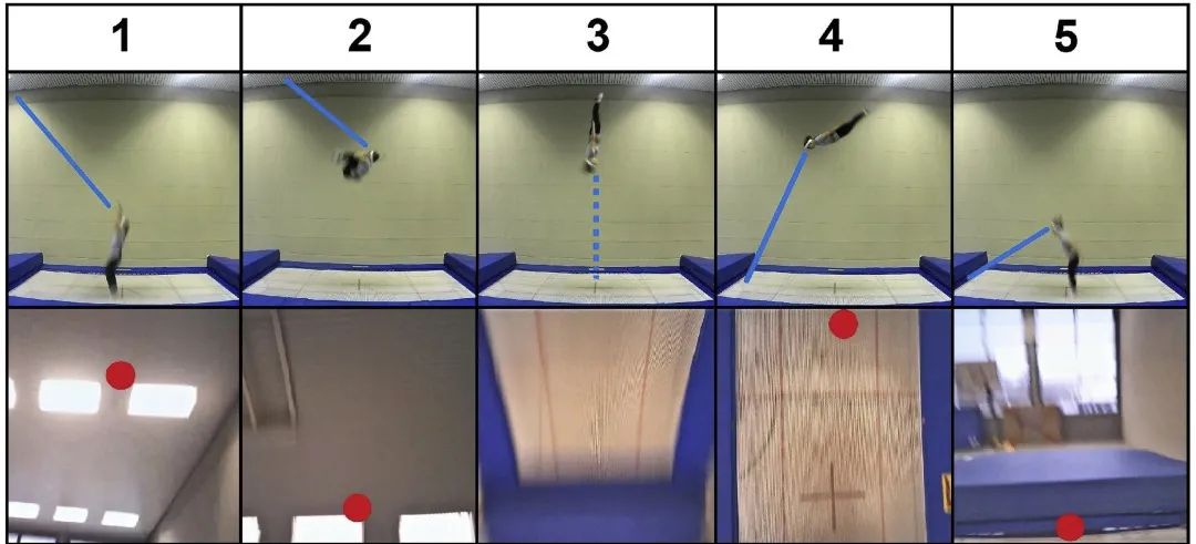 体操|体操、跳水……各种转圈的时候，运动员会睁眼吗？