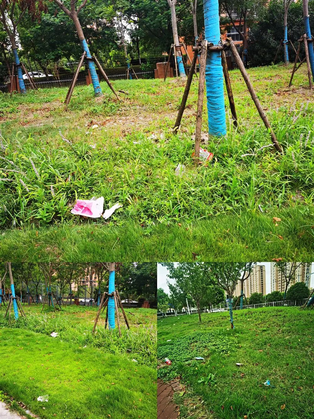 随地大小便乱扔垃圾上海小而美的口袋公园变得脏乱差谁来管管下午茶