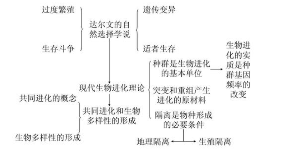 直立行走|人类身体结构有哪些不合理之处？直立行走使人类变成了“早产儿”