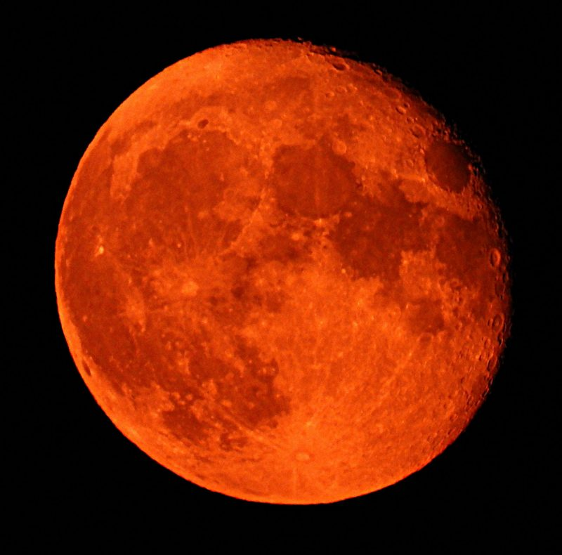 蓝月亮|请定好闹钟！本周可见双星伴蓝月亮天文景观
