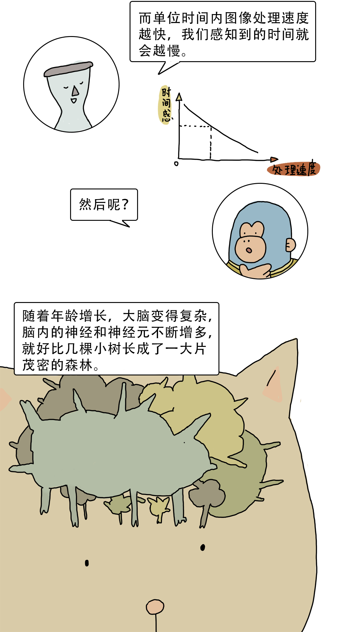 |感觉时间过得越来越快，这是我的错觉吗？