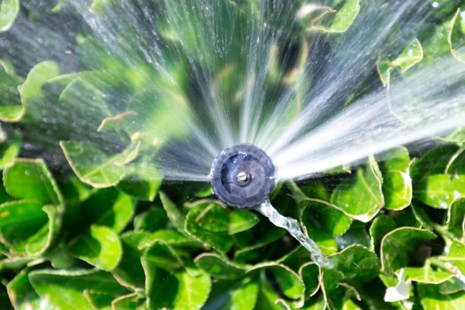 节水灌溉|节水灌溉有讲究 因地制宜效果优