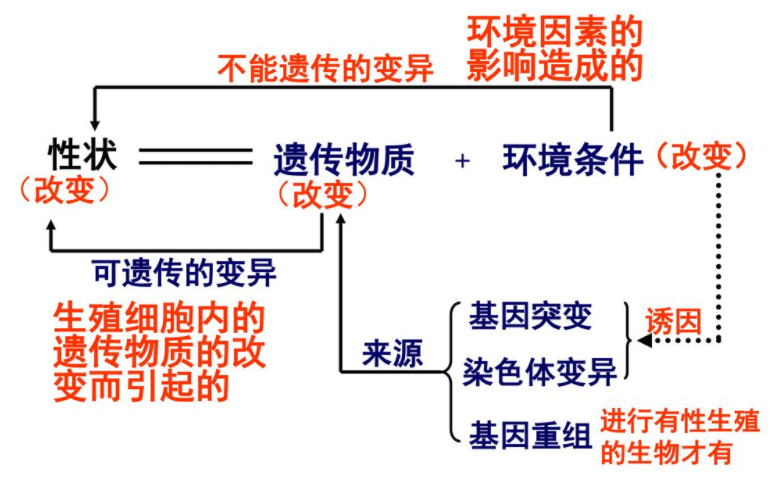 生物科学|大多数雄性动物的排泄和生殖为何共用一个器官？这样有什么好处？