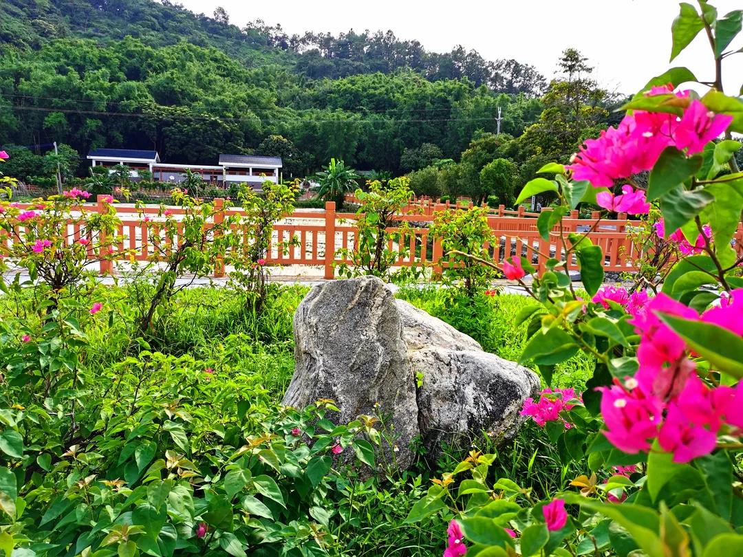 广州增城荔城街因地制宜打造四小园扮靓乡村颜值
