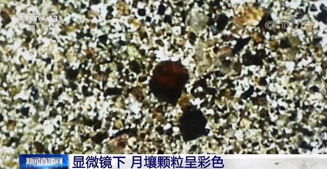地球质量|揭秘“月上来客”：样品分几种？你见过显微镜下的月壤吗？