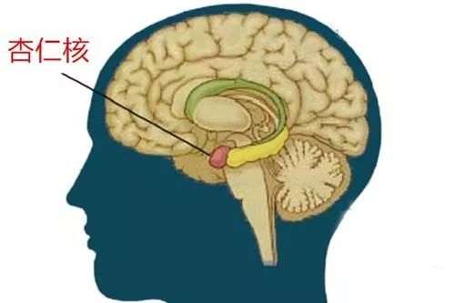科学|听到指甲划黑板的声音就狂躁，是不是只有我这样？！