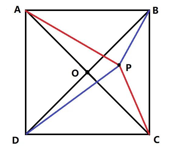 |数学题不会做？让大自然帮我们找答案｜正经玩