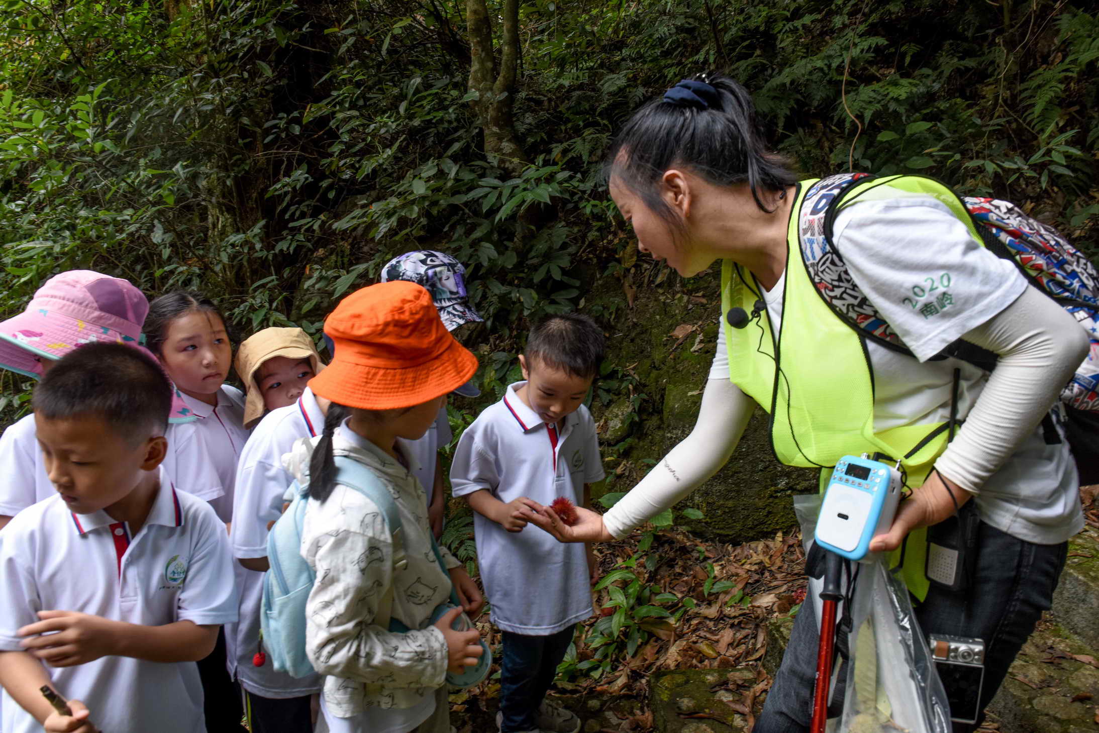 创森惠民南岭山下举行首场自然教育课