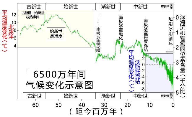 泰坦|世界上体型最大的蛇有多大？这种蛇重约1吨，以巨鳄、巨龟为食