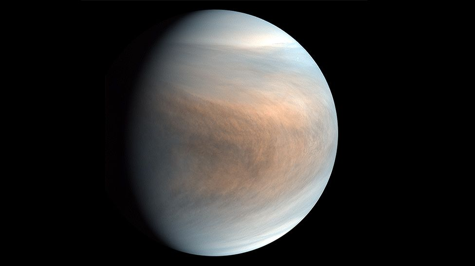 金星|请定好您的闹钟，在傍晚的西方夜空中，可以看见金星相伴角宿一