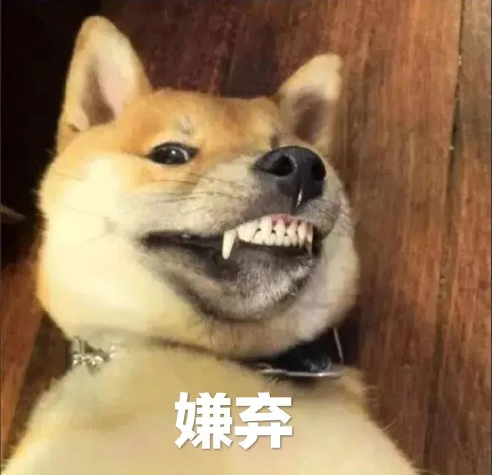 科技|两个字，让棒球为我飞出了光年之外｜正经玩