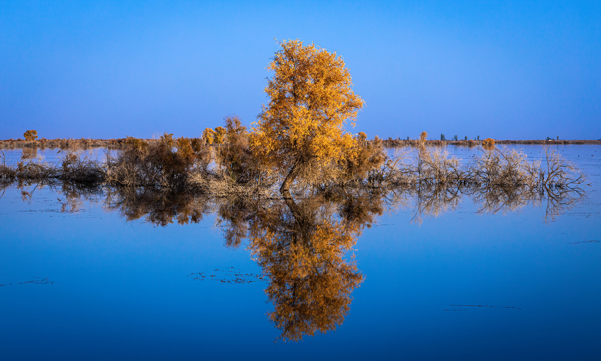 9月不可错过的这15处初秋美景领略中国最美的秋色美得不像话