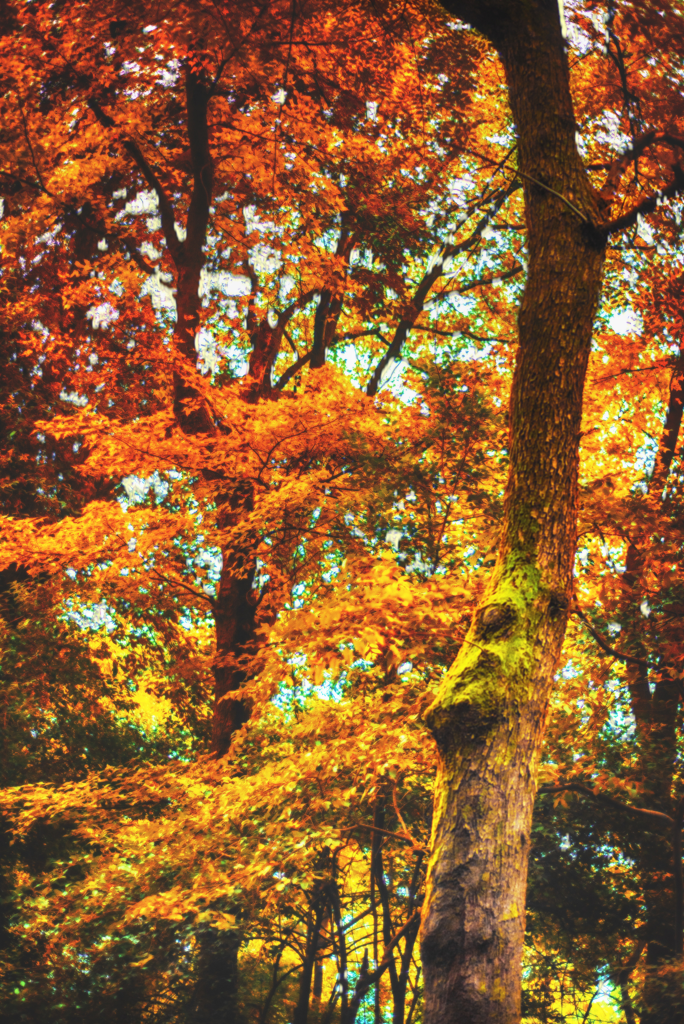 9月不可错过的这15处初秋美景领略中国最美的秋色美得不像话