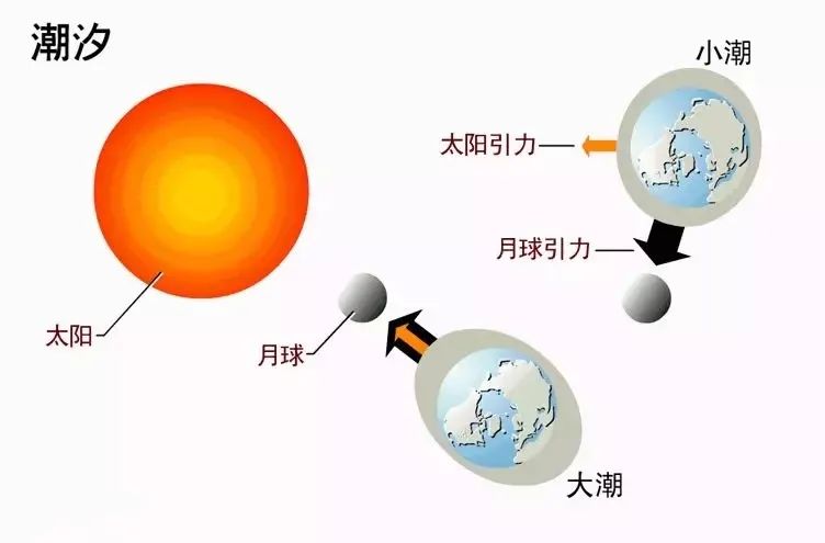 数学|发现“能预知宇宙的恶魔”，这位数学家脑洞有多大？