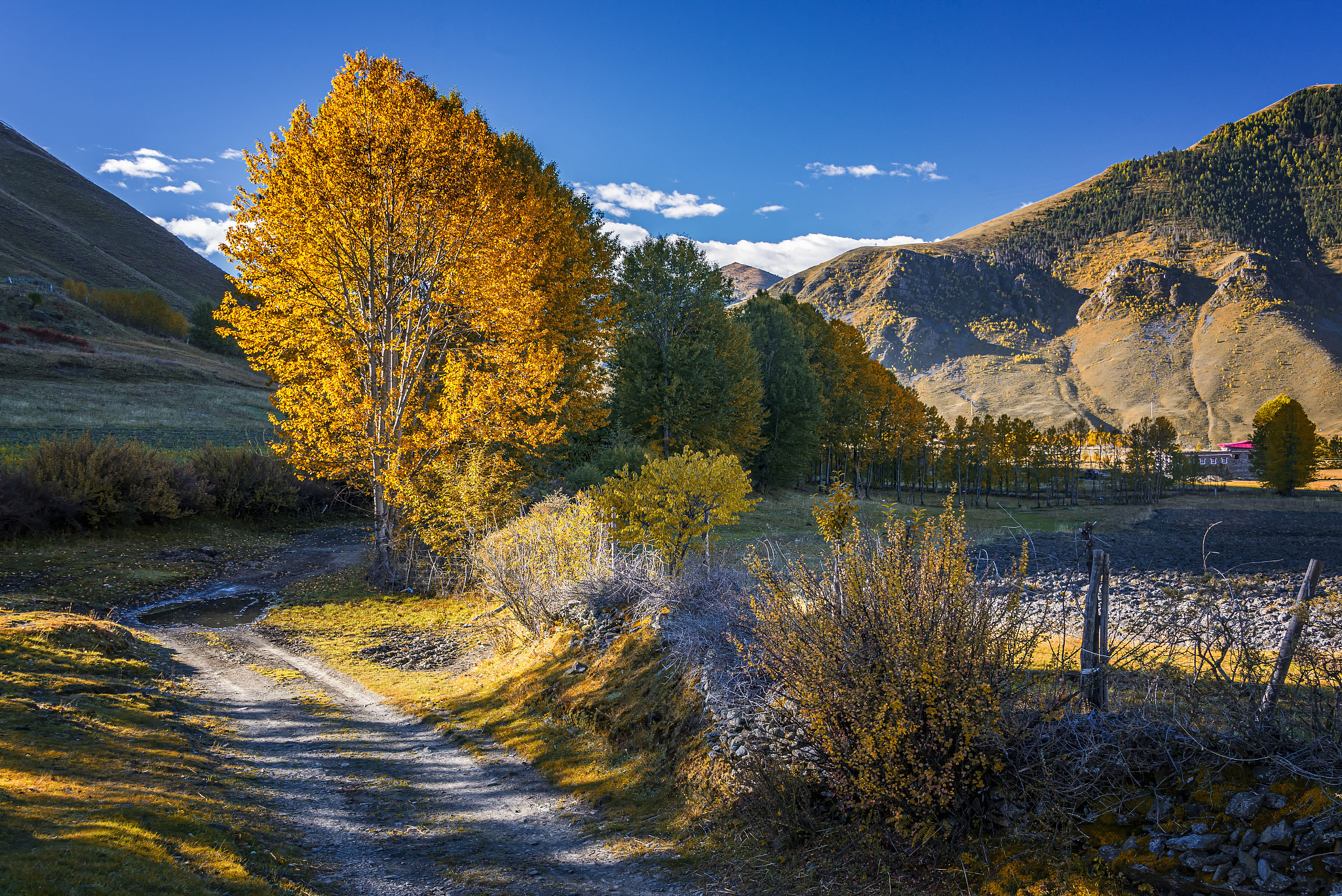 川西的这10个地方的秋景太美了这个秋天一定要去看看