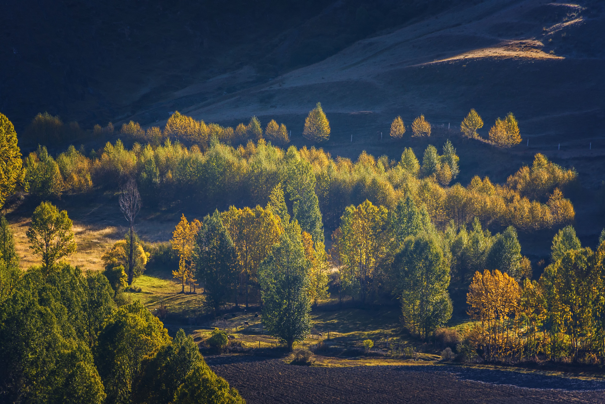 川西的这10个地方的秋景太美了这个秋天一定要去看看