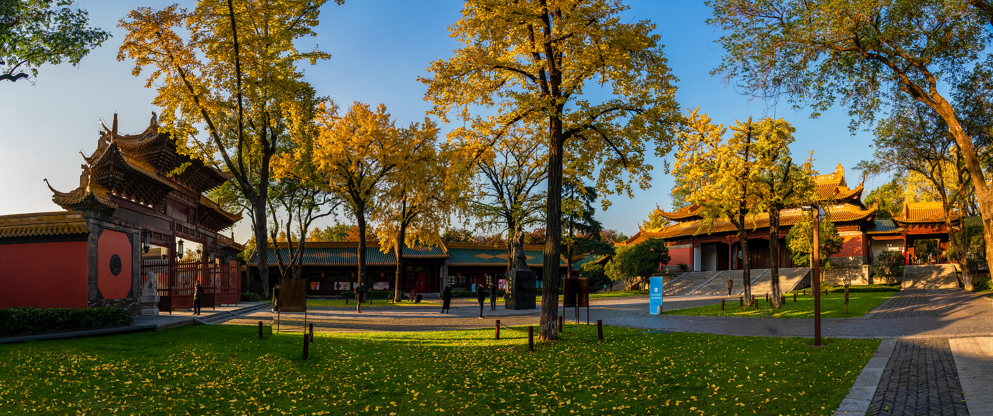 南京的秋天美成了金陵该有的样子谁能不爱