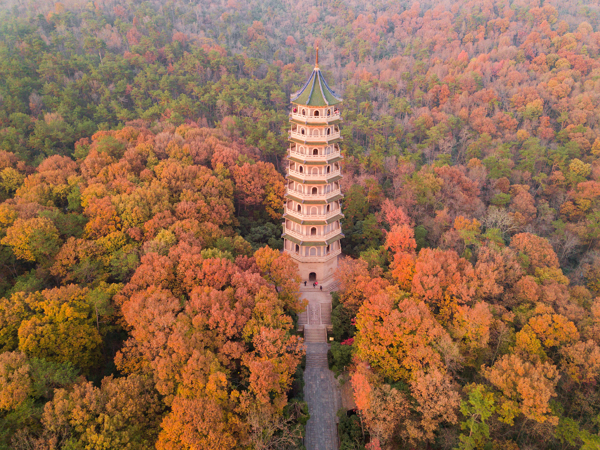 南京的秋天美成了金陵该有的样子谁能不爱