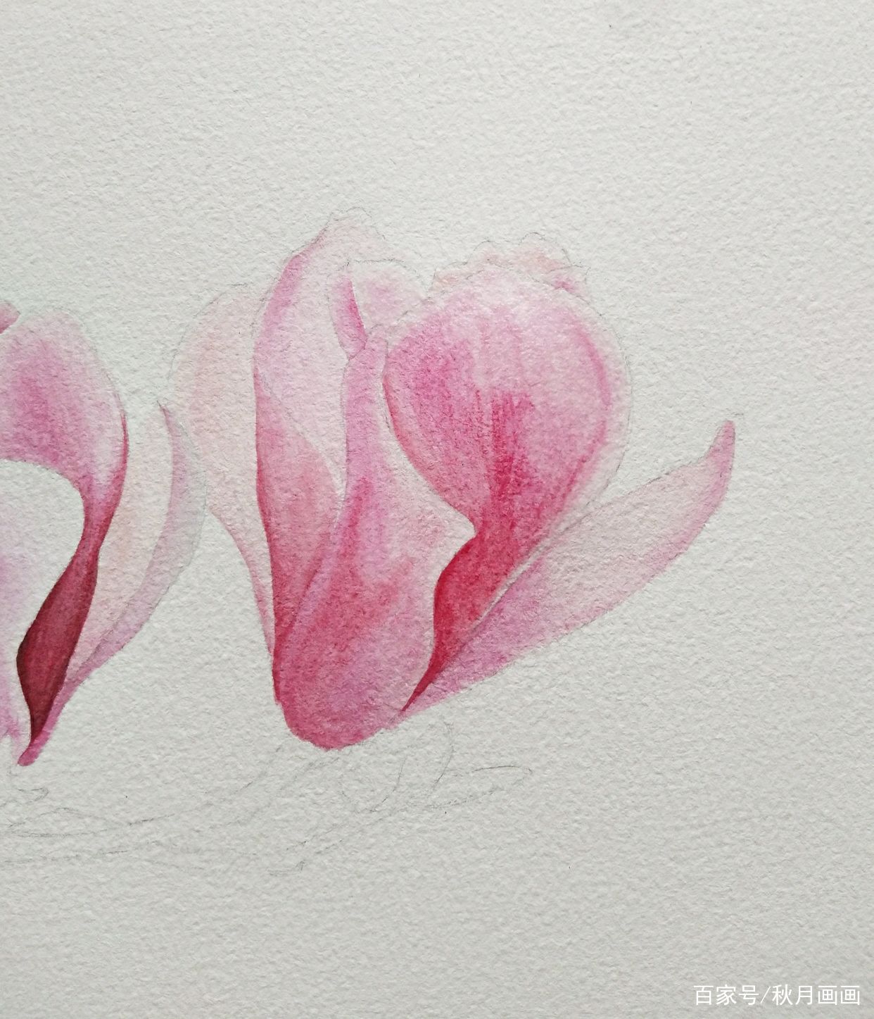 简单几步画出漂亮的水彩花卉