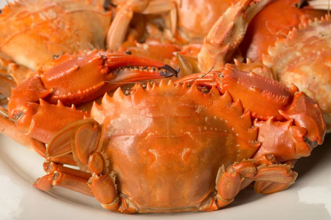 这是石夹红把螃蟹冲洗干净,控下水,倒两盅高度白酒,好酒更好,时常翻动