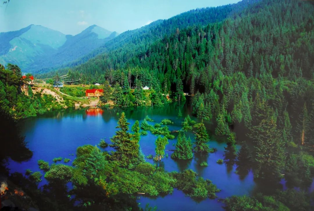 大峪沟风景区大峪沟aaaa级旅游景区位于甘肃省甘南藏族自治州卓尼县