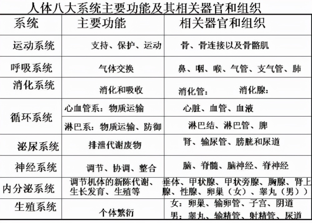 為什麼大多數雄性動物的交配和排洩共用一個器官人類卻不是