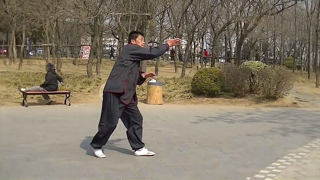 大连五行通背拳名家徐洪富先生演练的通背十二连珠