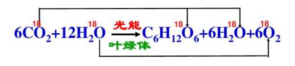 图片来源：作者提供