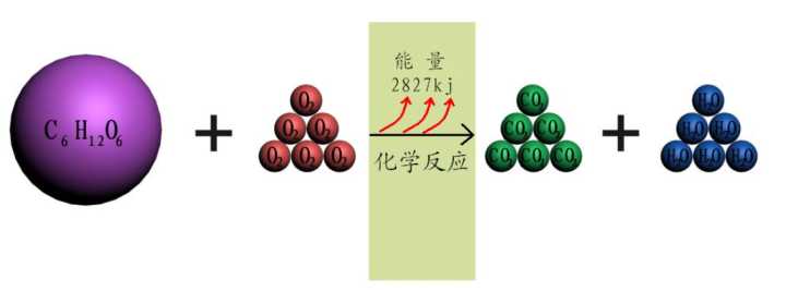 财经|从0到1，中国科学家首次在实验室实现人工合成淀粉