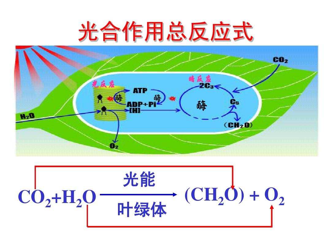 科学|中国科技颠覆美国想象！移民火星不再种土豆，我国能人工合成淀粉