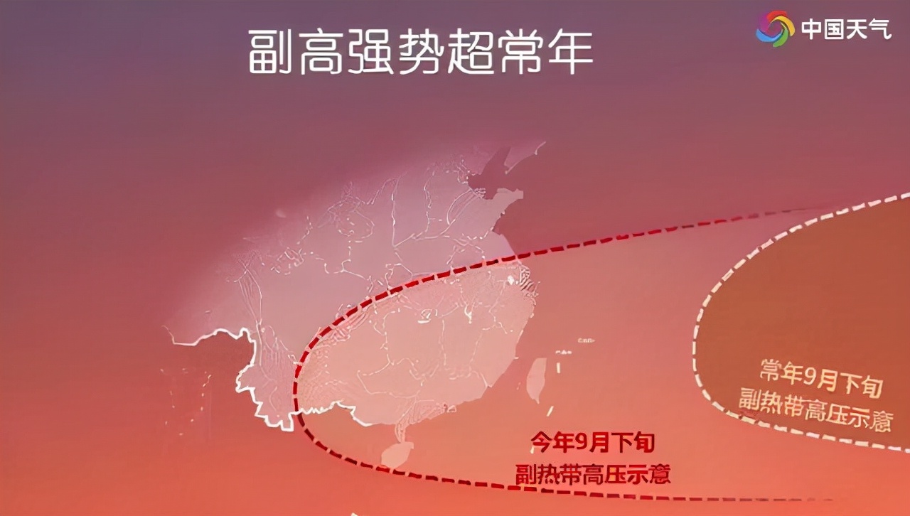 桂花|今年桂花为何还没开放?原因竟和高温有关