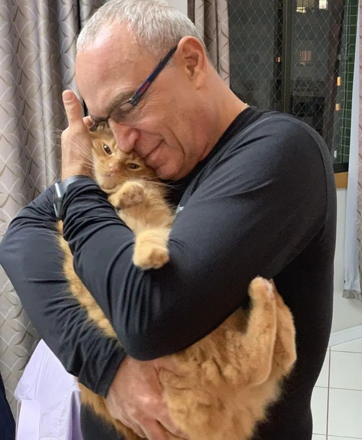 一组温暖可爱的图片当男人养了猫每天的画面是这样的