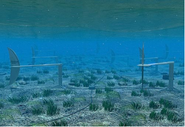 地球质量|搞懂“天下第一潮”,下一个“弄潮儿”就是你!