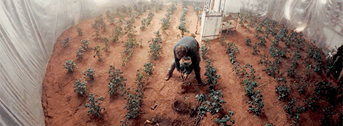 |如何把菜种到太空去？