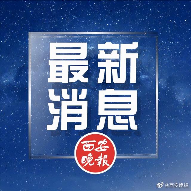 植物|中国采集队在珠峰6200米地带成功采到植物种子