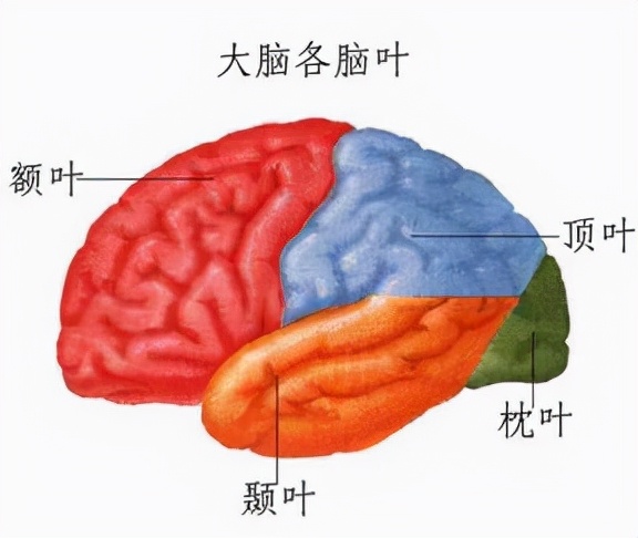 诺贝尔|诺贝尔奖爆笑八卦！曾颁错过，没有数学奖真不是因为女友被拐跑！