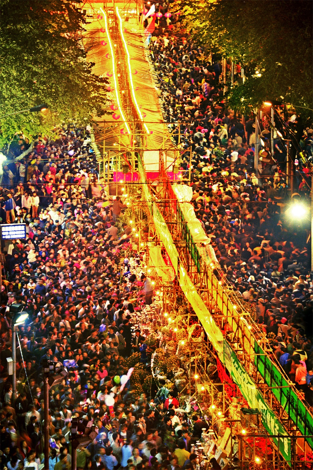 广州非遗寻宝记之四:全国各地都有花 为什么是"行花街"成了"国家级非