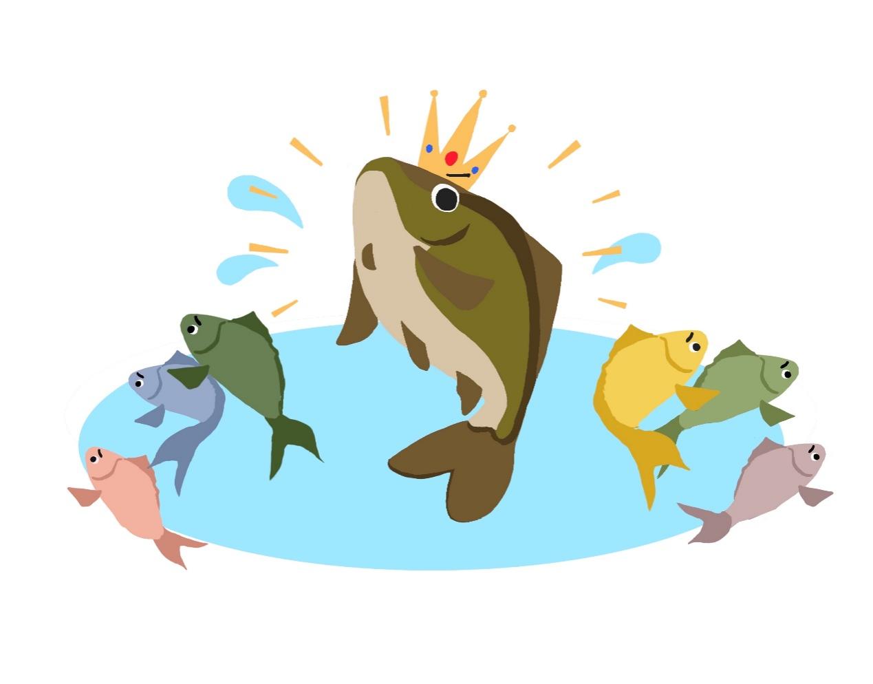 亚洲鲤鱼占据了五大湖（图片来源：作者提供）