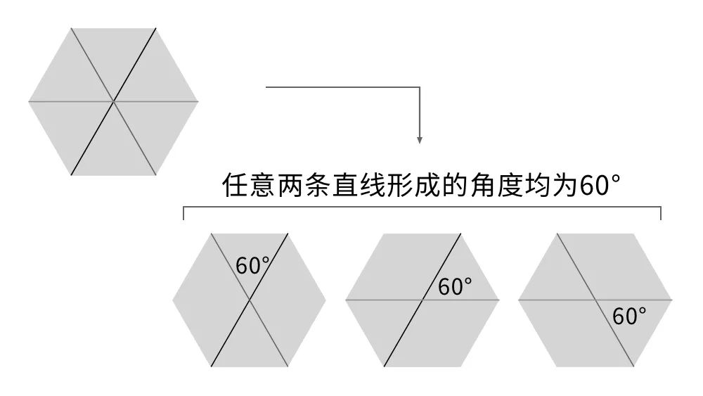 数学|困扰数学家70年的等角线之谜