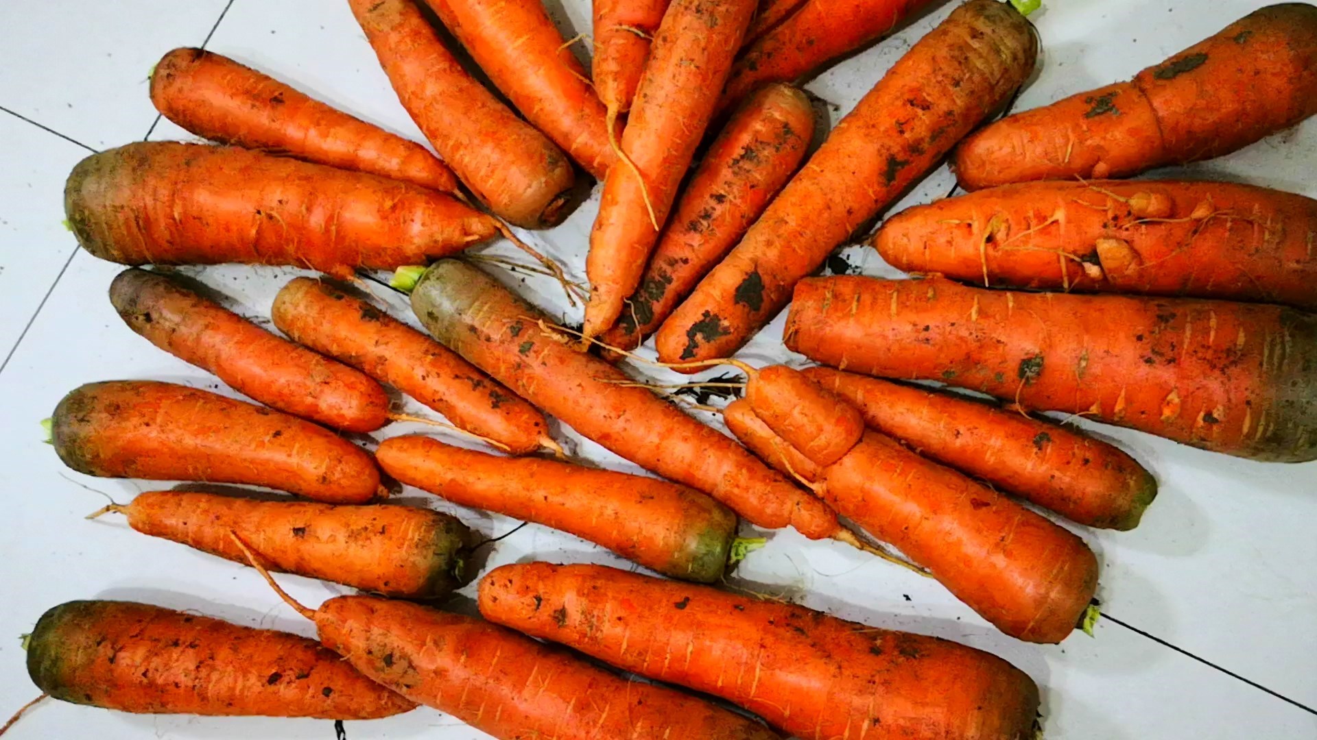 4,密封胡萝卜晾好的胡萝卜,用保鲜膜包裹起来,大的一根一包,小的可以