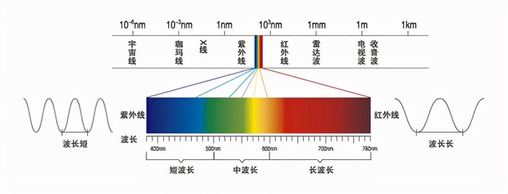 电磁波辐射|1颗葡萄放微波炉里没事，2颗葡萄为啥会爆炸？这竟然与光刻机有关