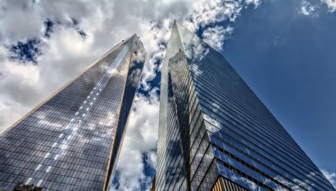 |多一座城市，世界上就可能多了一群倒霉的鸟