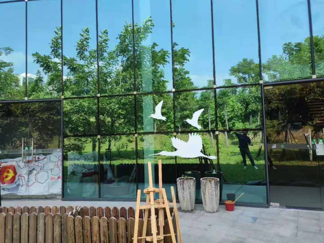 |多一座城市，世界上就可能多了一群倒霉的鸟