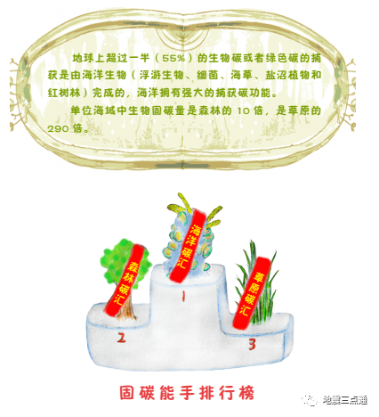 海洋污染|凛冬将至！看储碳“绿巨人”如何抗住不稳定的气候系统