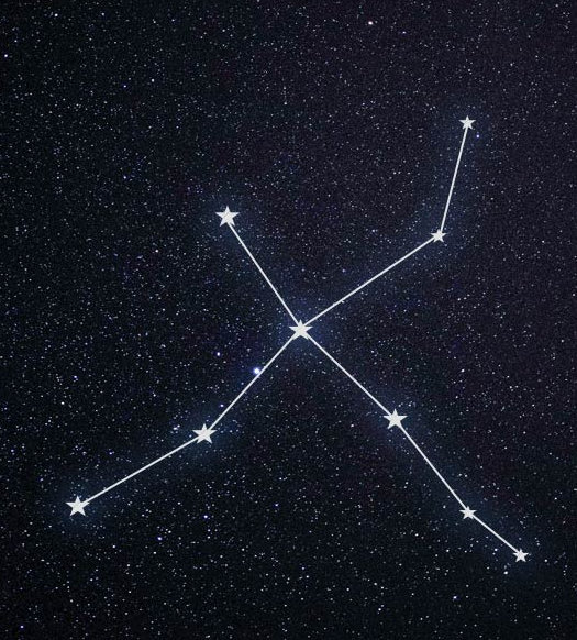 天文小知识天鹅座那些关于天鹅的二三事