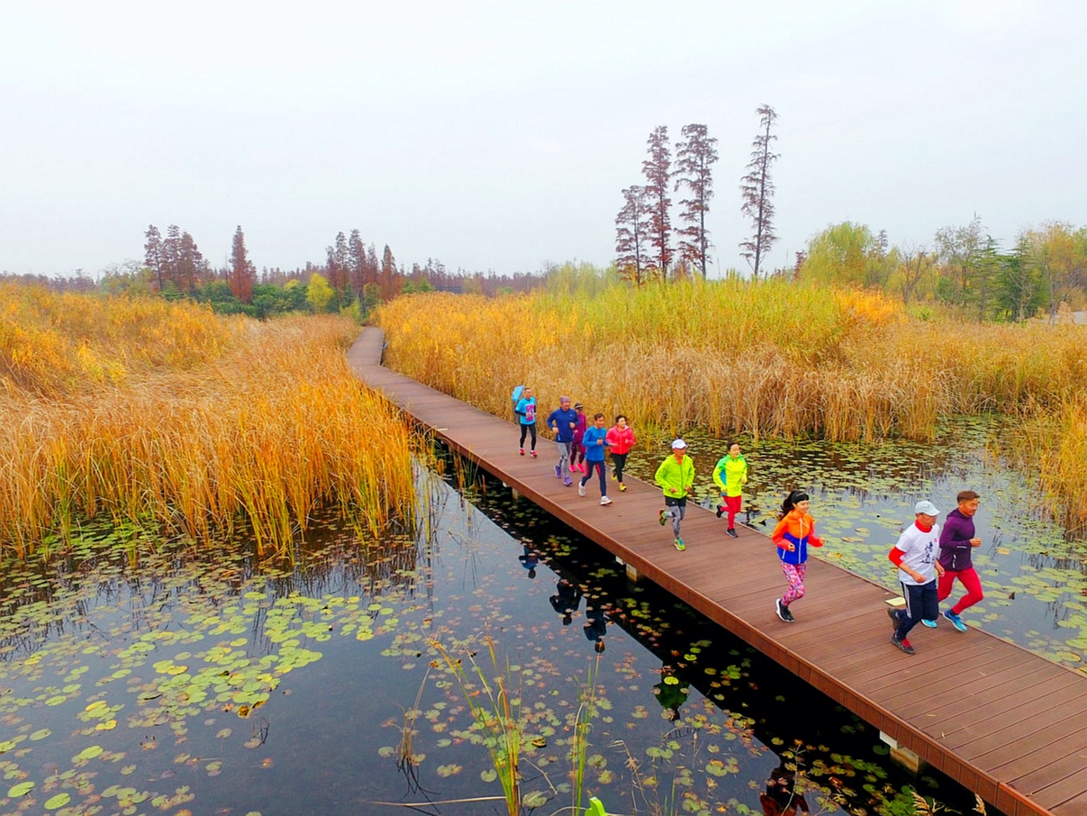 跑步锻炼的运动健儿们