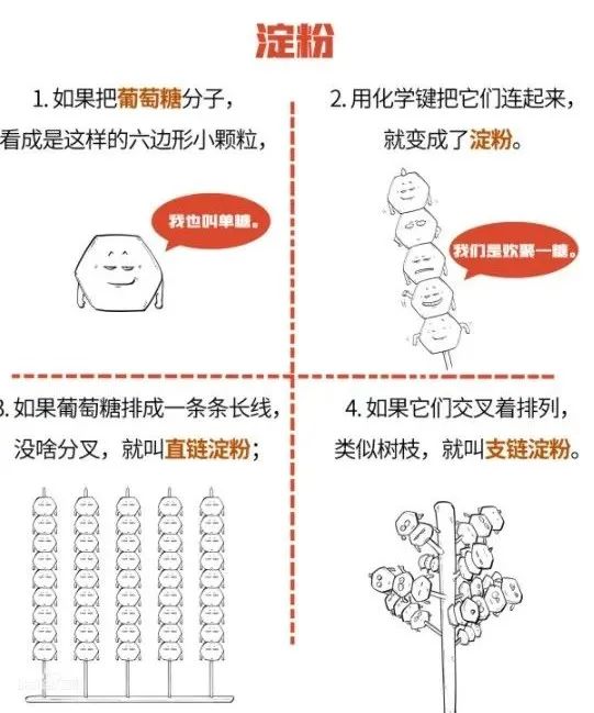 淀粉糊化|问：为什么放淀粉的汤开始是稠的，喝的时候不断搅拌就变稀了？